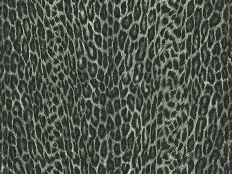 Леопард черно-белый (Asia)